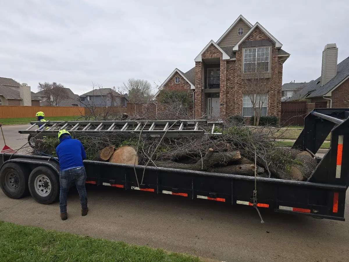 Expert Lot Clearing with proper safety equipment in Silver Lake